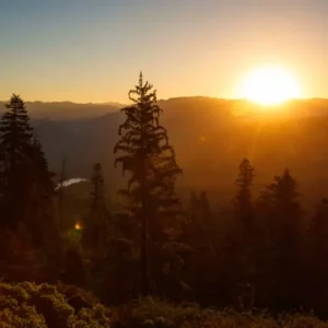 Sunrise over a mountainous forest, illuminating trees with a golden glow.
