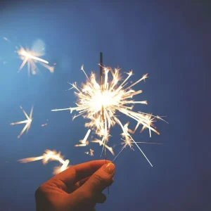 Flourishing State Podcast